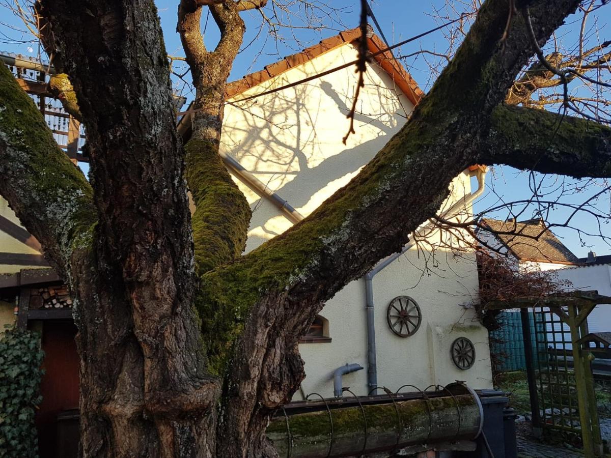 Ferienwohnung Zum-Alten-Kirschbaum 림부르크안더란 외부 사진