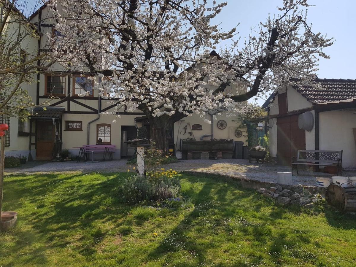 Ferienwohnung Zum-Alten-Kirschbaum 림부르크안더란 외부 사진
